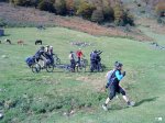 DSC00888.jpg