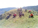 DSC00879.jpg