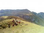 DSC00881.jpg