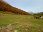 DSC00886.jpg