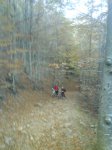 DSC00690.jpg