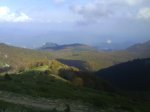 DSC00693.jpg