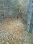 DSC00687.jpg