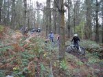 DSC00236.jpg