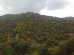 Imagen0392.jpg
