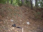 SDC10040.jpg
