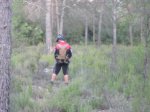 SDC10092.jpg