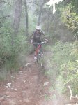 SDC10093.jpg