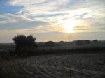 SDC10082.jpg