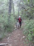 SDC10096.jpg