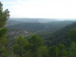 SDC10117.jpg