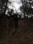 SDC10108.jpg