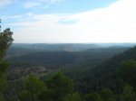 SDC10118.jpg