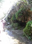 SDC10123.jpg