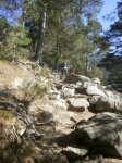 PA230759.jpg