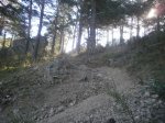PA230741.jpg