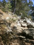 PA230770.jpg