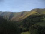 IMG_2739.jpg