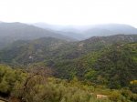 23102010595.jpg