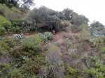 23102010597.jpg