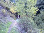 23102010599.jpg