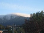 IMG_8173.jpg