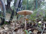231020101163.jpg