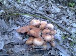 23102010625.jpg
