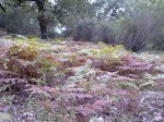 23102010624.jpg