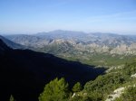 IMGP3130.jpg