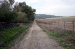 Image00017.jpg