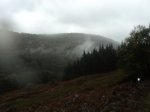 DSC065951600x1200.jpg