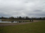 DSC07003.jpg