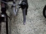 IMG00041-20101022-1859.jpg