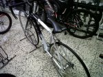 IMG00039-20101022-1858.jpg