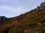 DSC03066.jpg