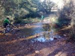 24102010_029.jpg