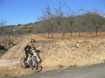 bttorba0600035 (Small).jpg