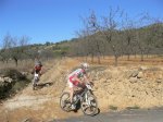 bttorba0600039 (Small).jpg