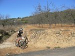 bttorba0600040 (Small).jpg