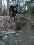 frikicortado001.jpg