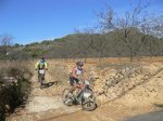 bttorba0600069 (Small).jpg