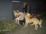 Imagen 011.jpg