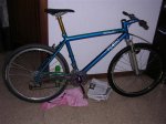 paul0478 (Small).JPG
