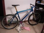 paul0483 (Small).JPG