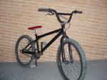 haro1.jpg