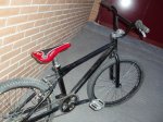 haro3.jpg