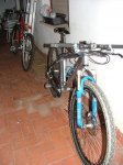 bici2.JPG