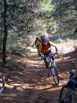 02_599x800.jpg