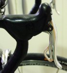 campy (2).jpg